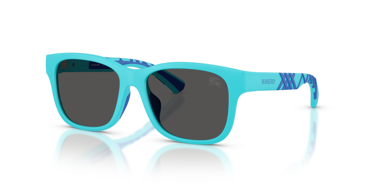 Burberry JB4007U Matte Light Blue