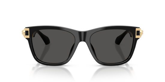 VE4527U Versace Black