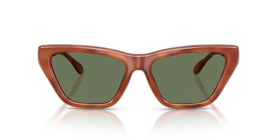 HC8449U CDP33 Coach Caramel Tortoise