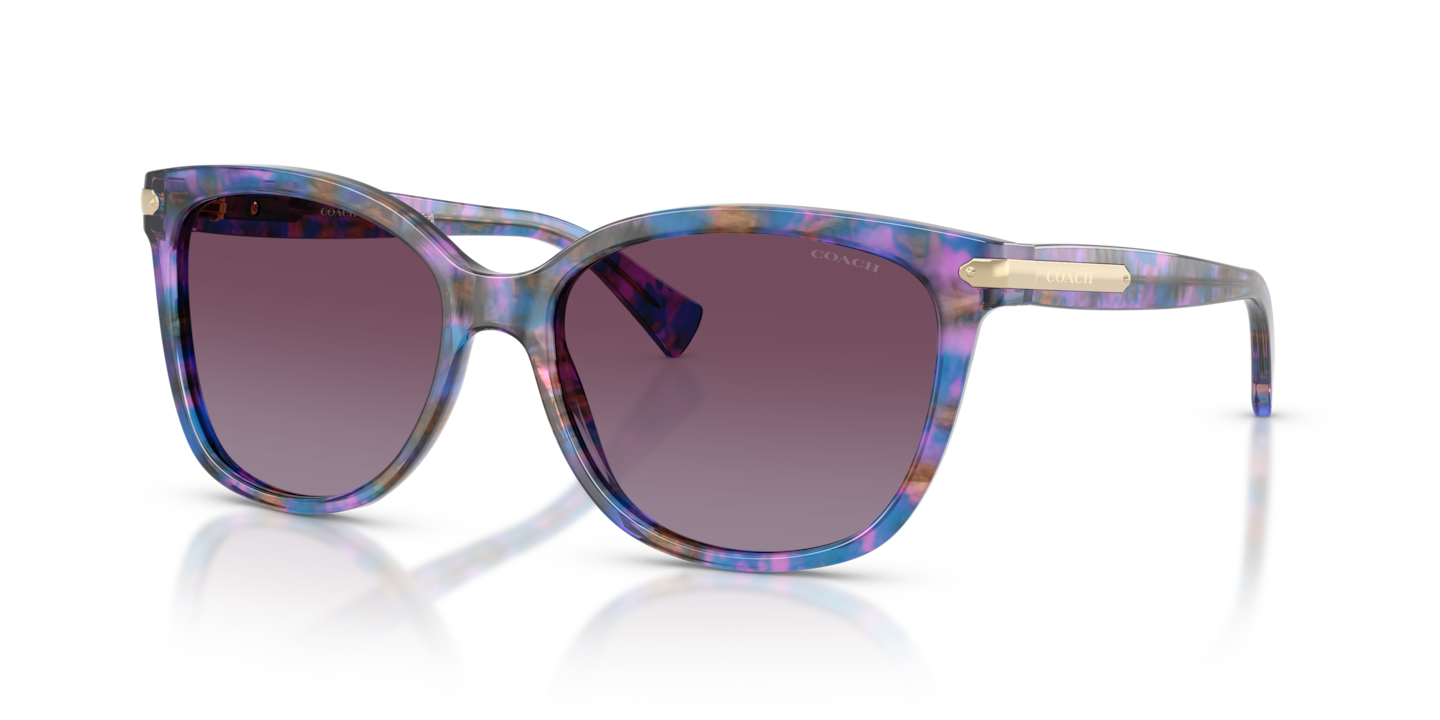 Coach HC8132 L109 Purple Confetti Tortoise