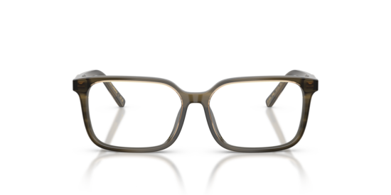 DX3003 Dolce & Gabbana Transparent Green/Striped Green