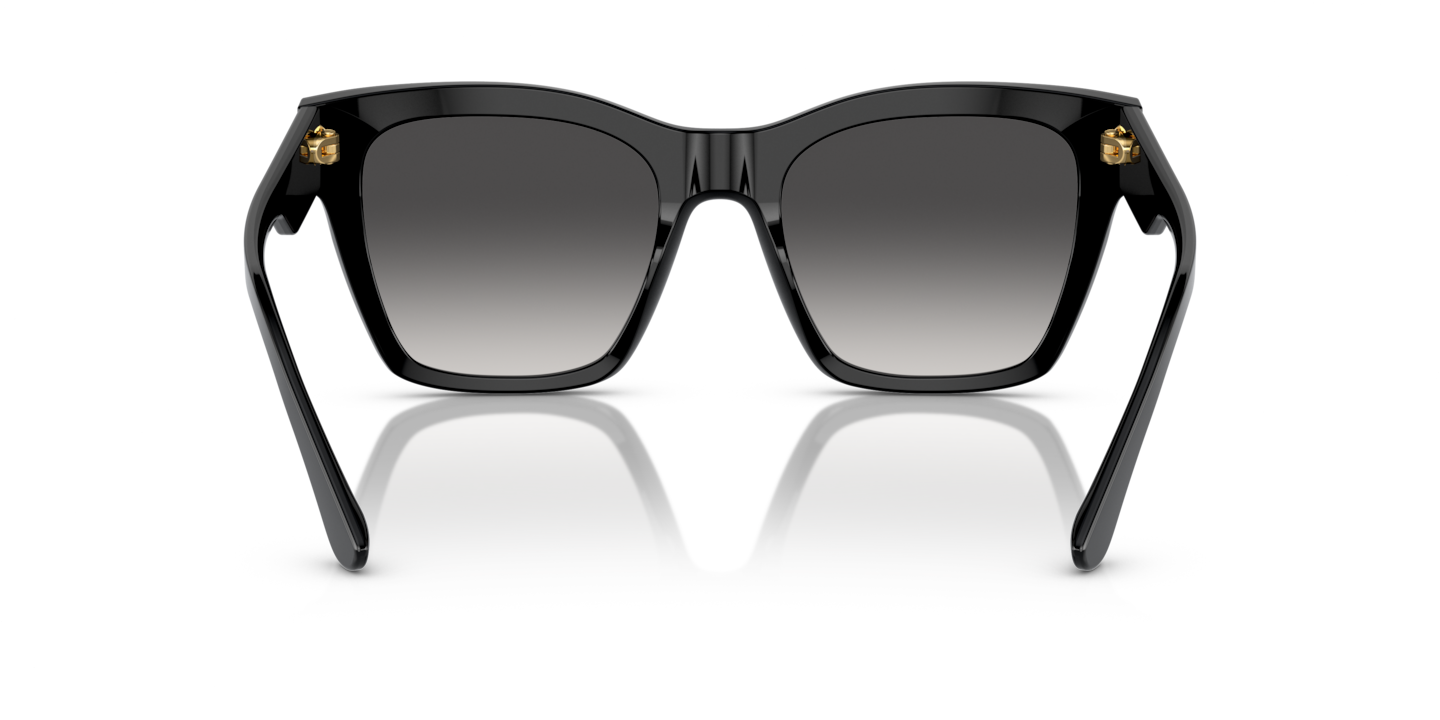 Sunglasses Dolce & Gabbana DG4384 | Free Shipping | Glasses.com®
