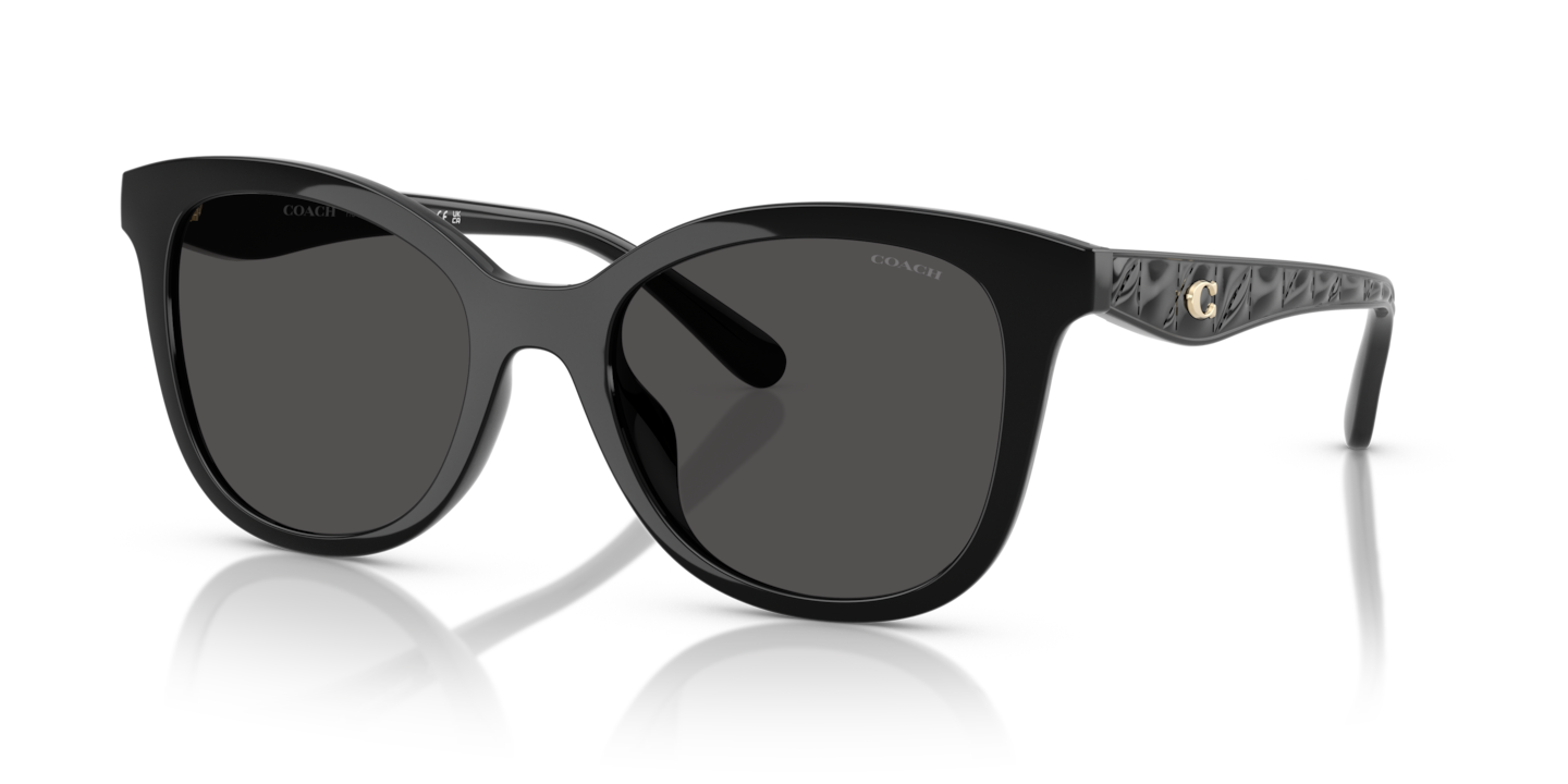 Coach HC8419U CAD25 Black