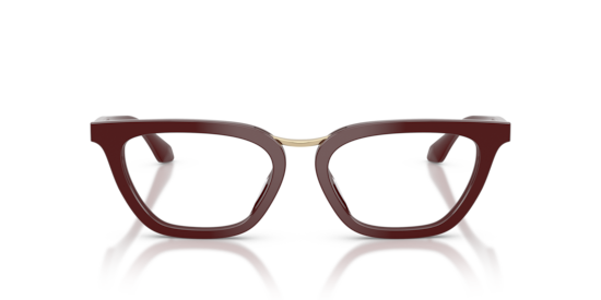 AR7290U Giorgio Armani Burgundy