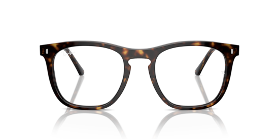 RB2210V Optics Ray-Ban Havana