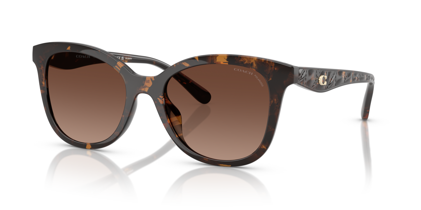 Coach HC8419U CAD25 Dark Tortoise