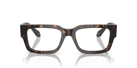 AR7243U Giorgio Armani Havana