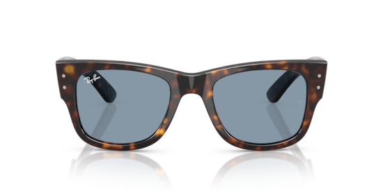 Sunglasses Ray-Ban RB0840S Mega Wayfarer Summer Capsule | Free