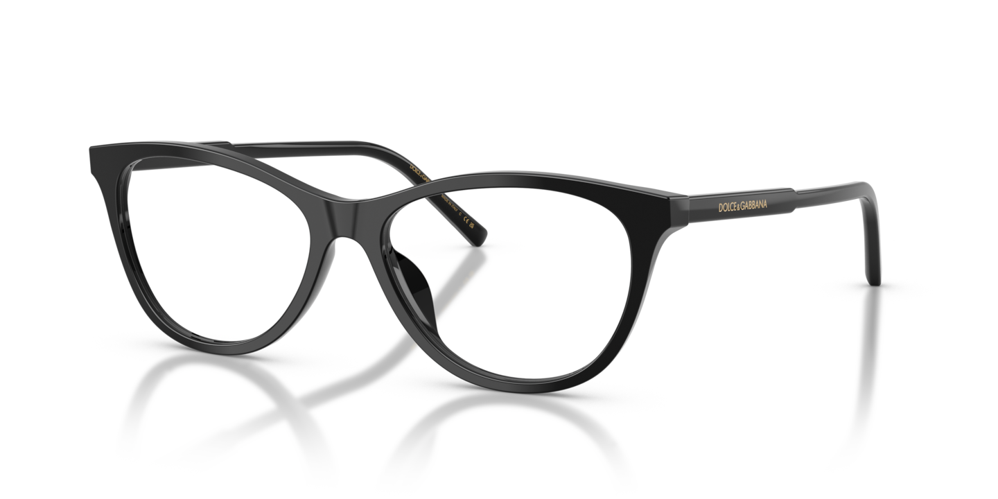 Dolce & Gabbana DG3443 Black