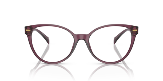 VE3334 Versace Transparent Violet