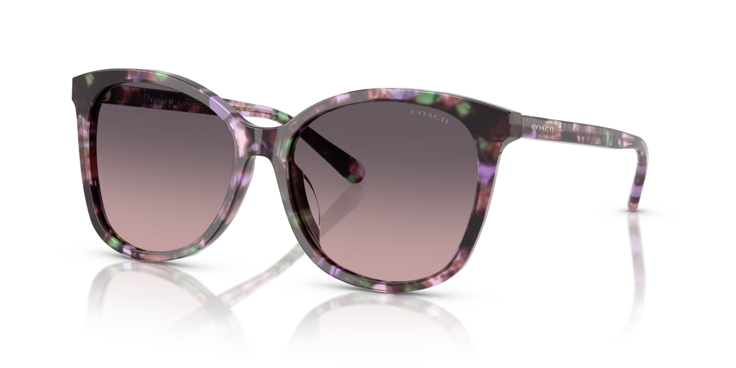 Coach HC8271U L1101 Amethyst Pearl Tortoise