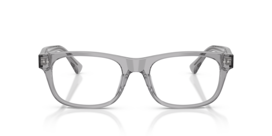 PH2317U Polo Ralph Lauren Shiny Transparent Grey
