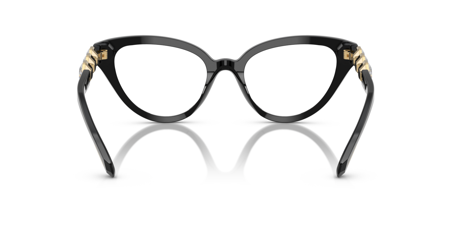 Eyeglasses Swarovski SK2028 | Free Shipping | Glasses.com® display picture 1