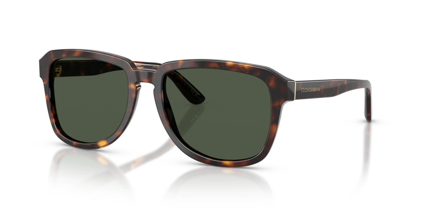 Dolce & Gabbana DG4566 Havana