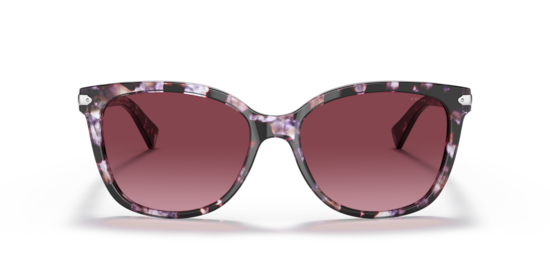 HC8132 L109 Coach Purple Tortoise