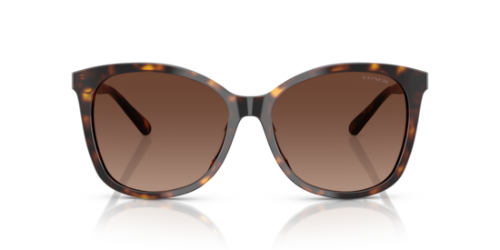 HC8271U L1101 Coach Dark Tortoise