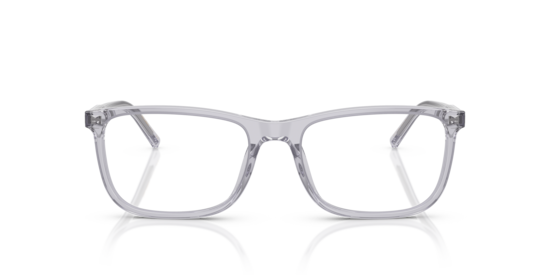DG3427 Dolce & Gabbana Transparent Grey