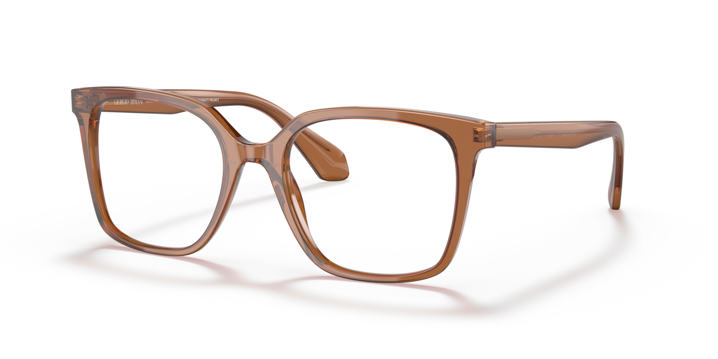 Giorgio Armani AR7217 Transparent Brown