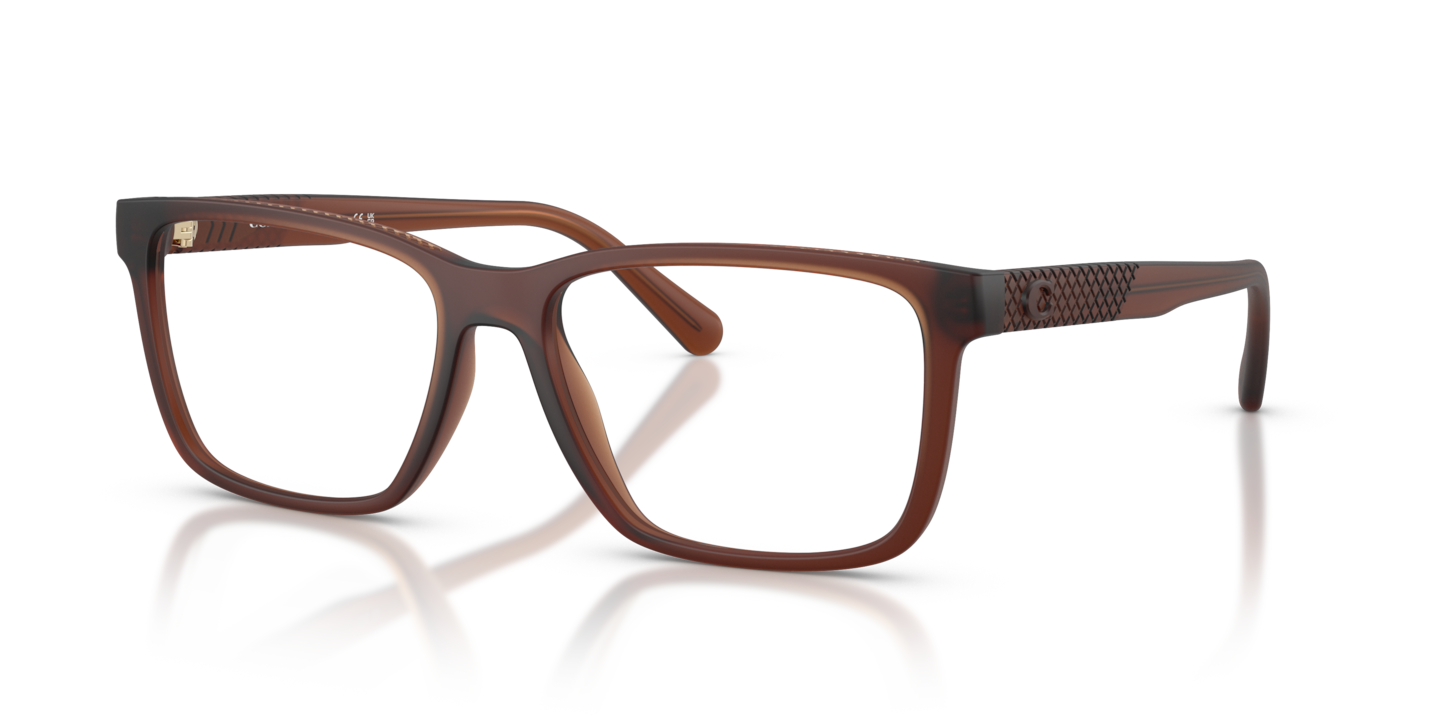Coach HC6278U Matte Transparent Brown