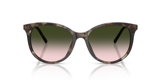 DG4540 Dolce & Gabbana Green Havana