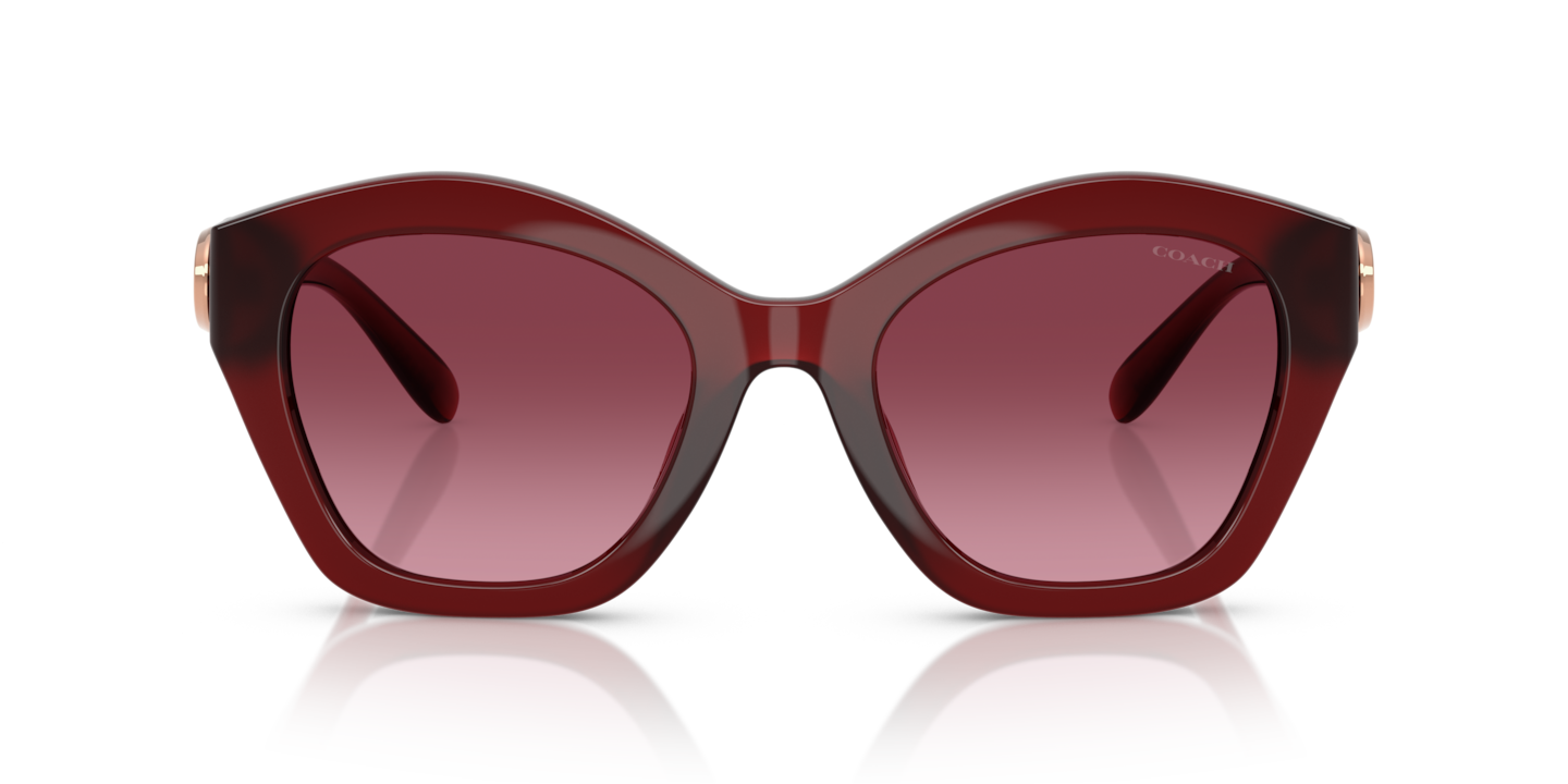 Sunglasses Coach HC8421U CAD31 | Free Shipping | Glasses.com®