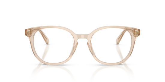 HC6301U Coach Transparent Beige
