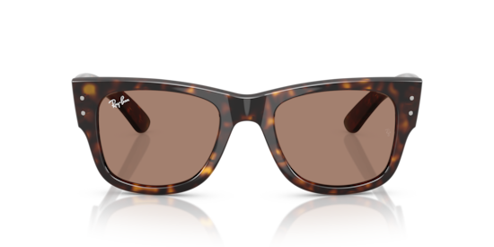 Sunglasses Ray-Ban RB0840S Mega Wayfarer Summer Capsule | Free