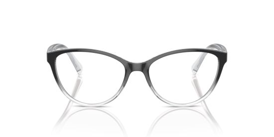 AX3053 Armani Exchange Black & Grey