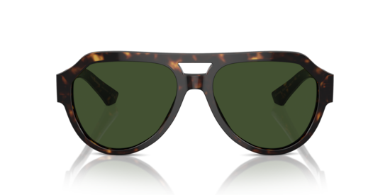 DG4466 Dolce & Gabbana Havana