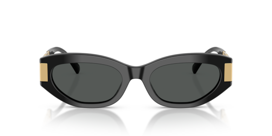 VE4501 Versace Black