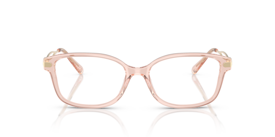 HC6172 Coach Transparent Dusty Rose