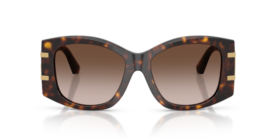 DG4501 Dolce & Gabbana Havana