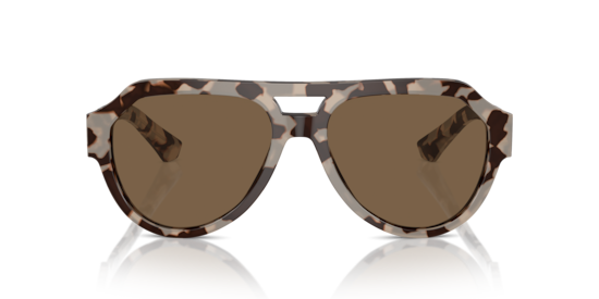 DG4466 Dolce & Gabbana Havana Beige