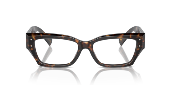 DG3387 Dolce & Gabbana Havana