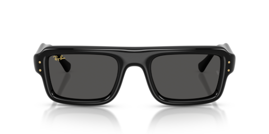 RB4954 Flacko Puffer Ray-Ban Black
