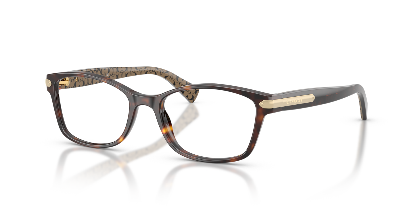 Coach HC6065 Dark Tortoise