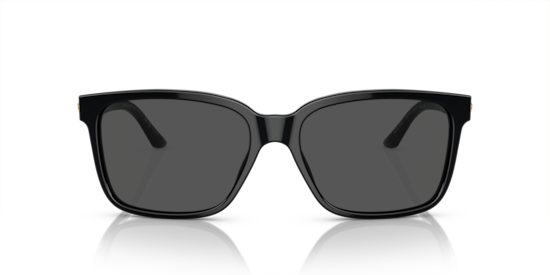 VE4307 Versace Black