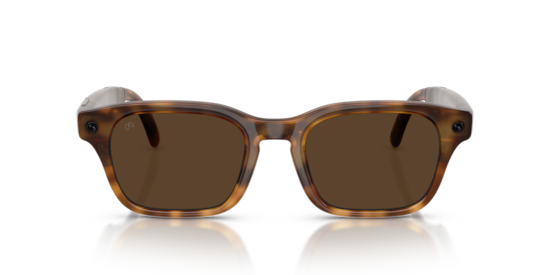 Meta Adventurer Meta Glasses Tortoise