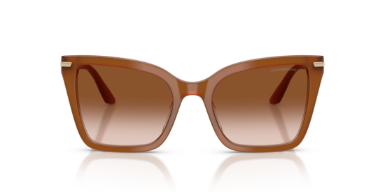 EA4273BU Emporio Armani Tobacco
