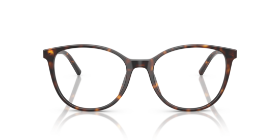 DG3425 Dolce & Gabbana Havana