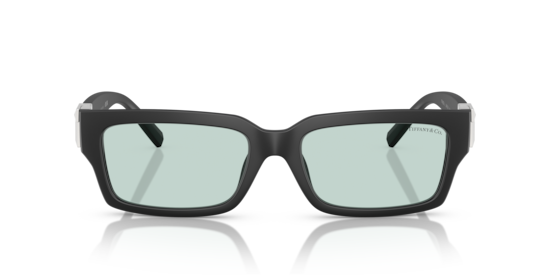 TF4226U Tiffany Matte Black