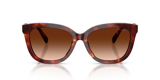 HC8453U CDP53 Coach Walnut Tortoise