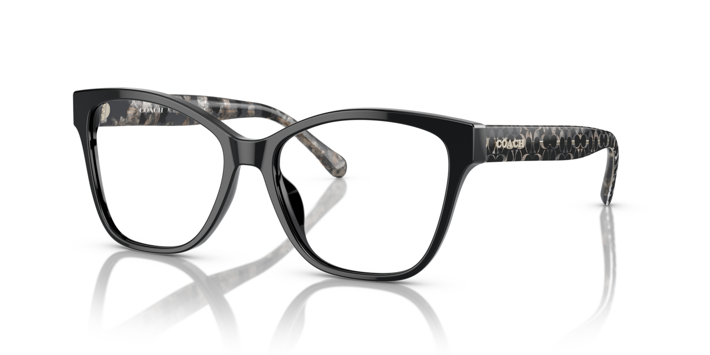 Coach HC6207U Black
