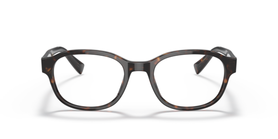 DG3339 Dolce & Gabbana Havana