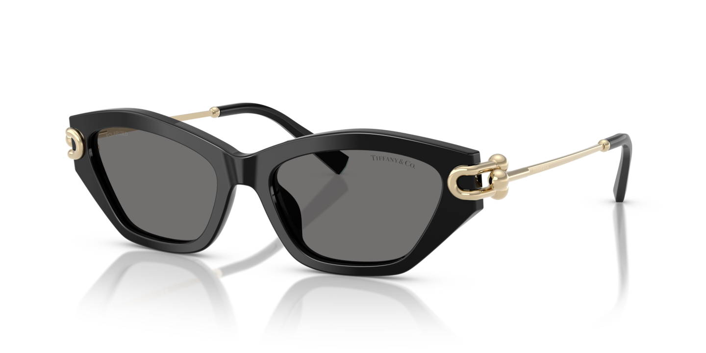 Sunglasses Tiffany TF4231U | Free Shipping | Glasses.com®