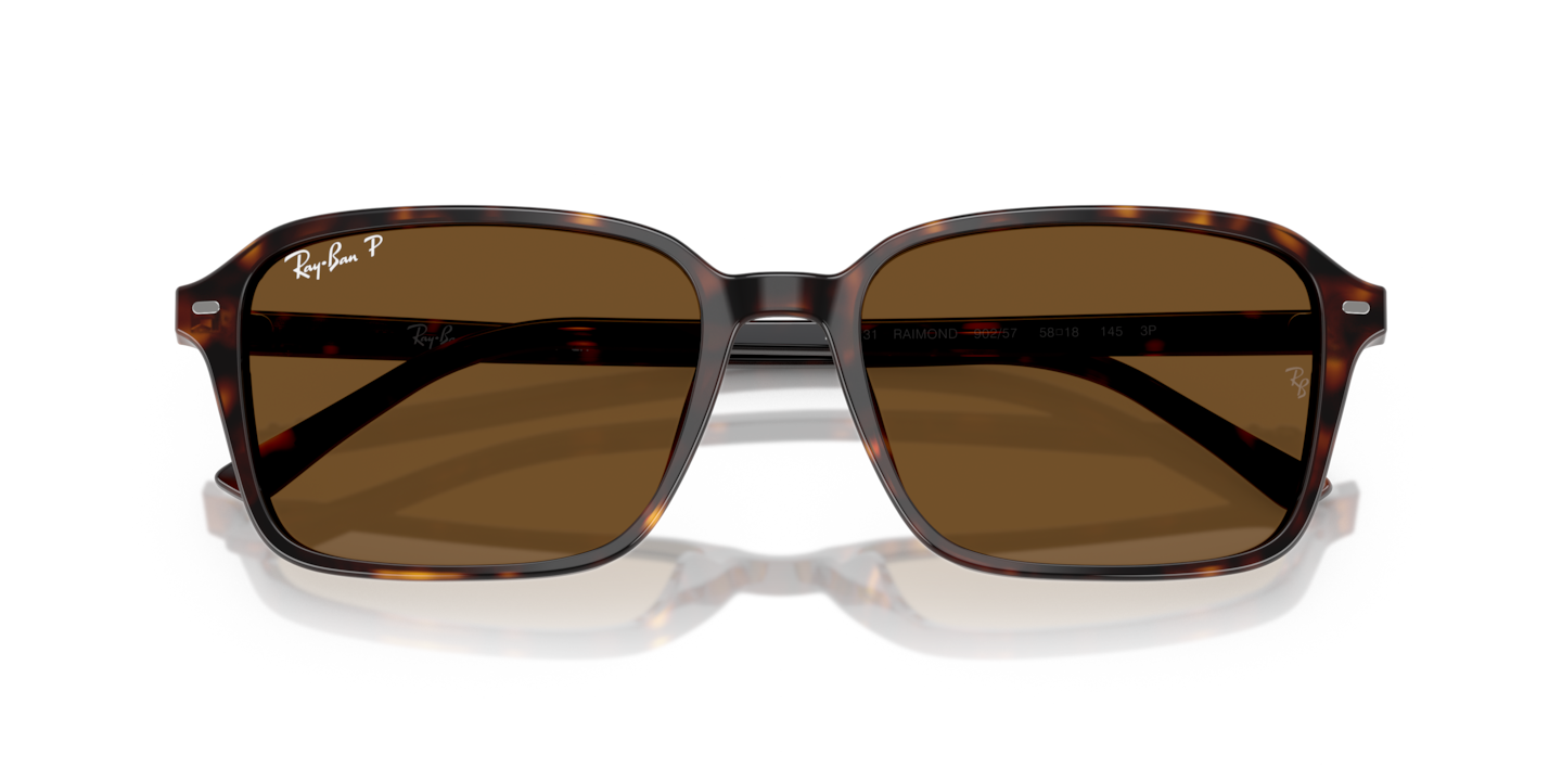 レイバンサングラス Sunglasses Ray-Ban RB2231 Raimond | Free Shipping | Glasses.com®