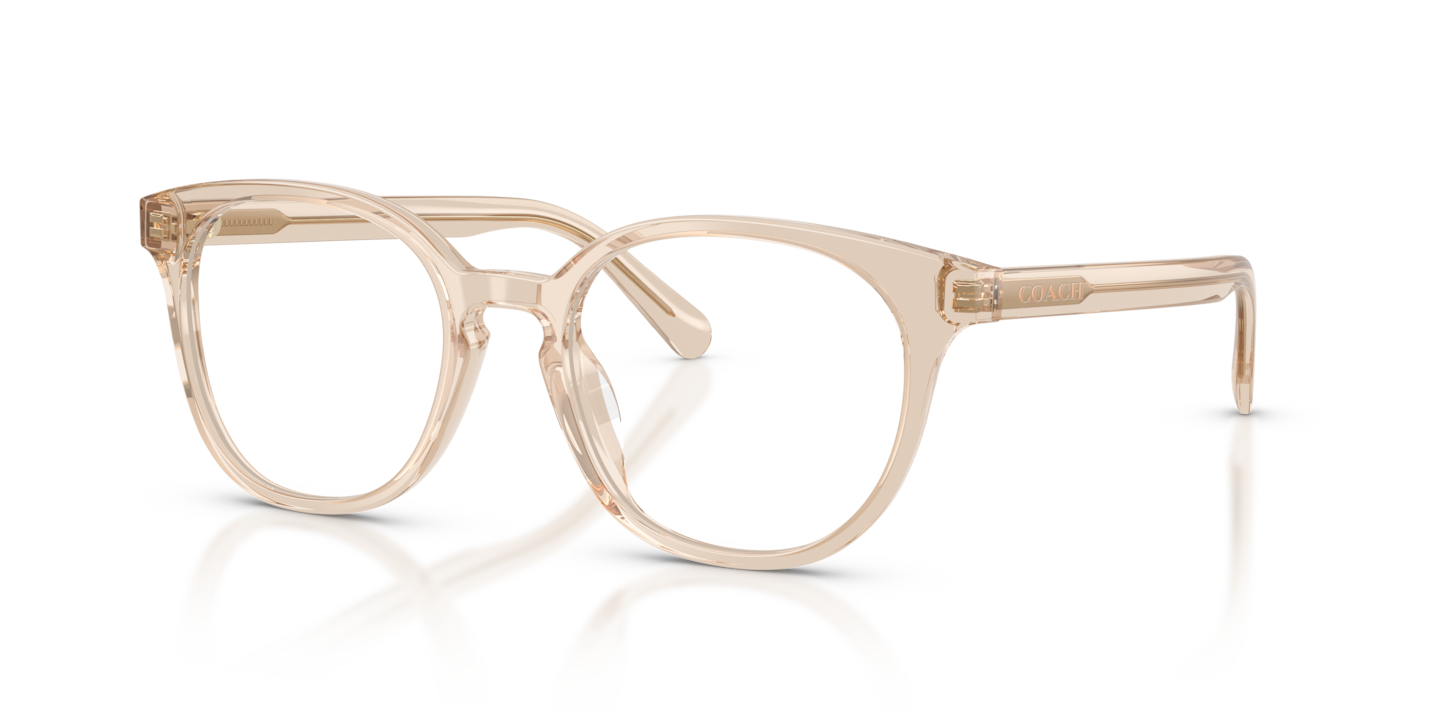 Coach HC6301U Transparent Beige