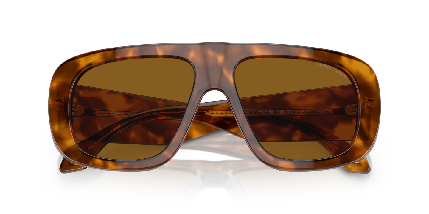 Sunglasses Giorgio Armani AR8183 | Free Shipping | Glasses.com®