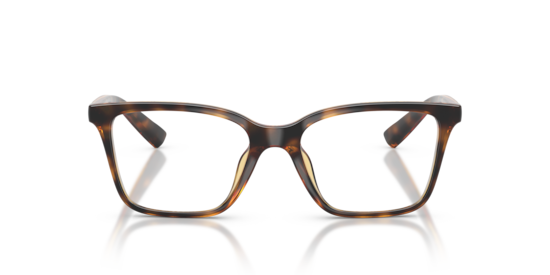 AX3146U Armani Exchange Shiny Havana