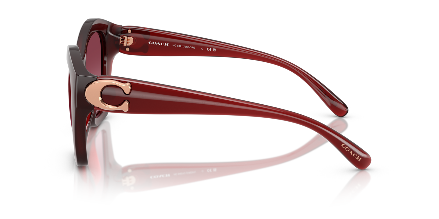 Sunglasses Coach HC8421U CAD31 | Free Shipping | Glasses.com®